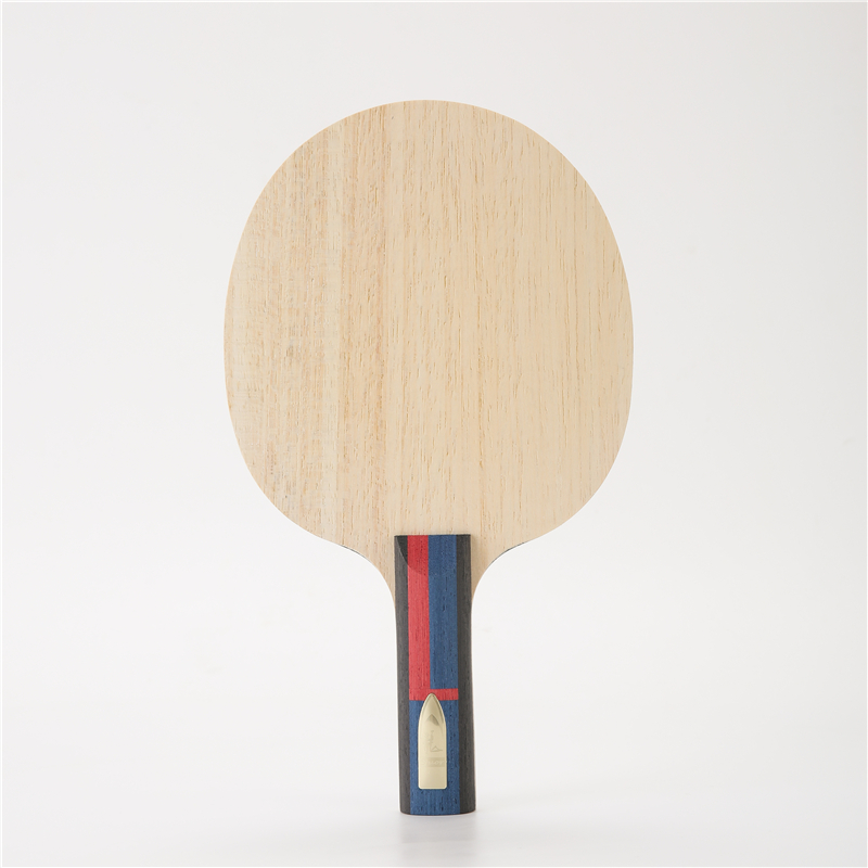 Stuor-Raquette de tennis de ta - Table Tennis Logo Free avis et prix