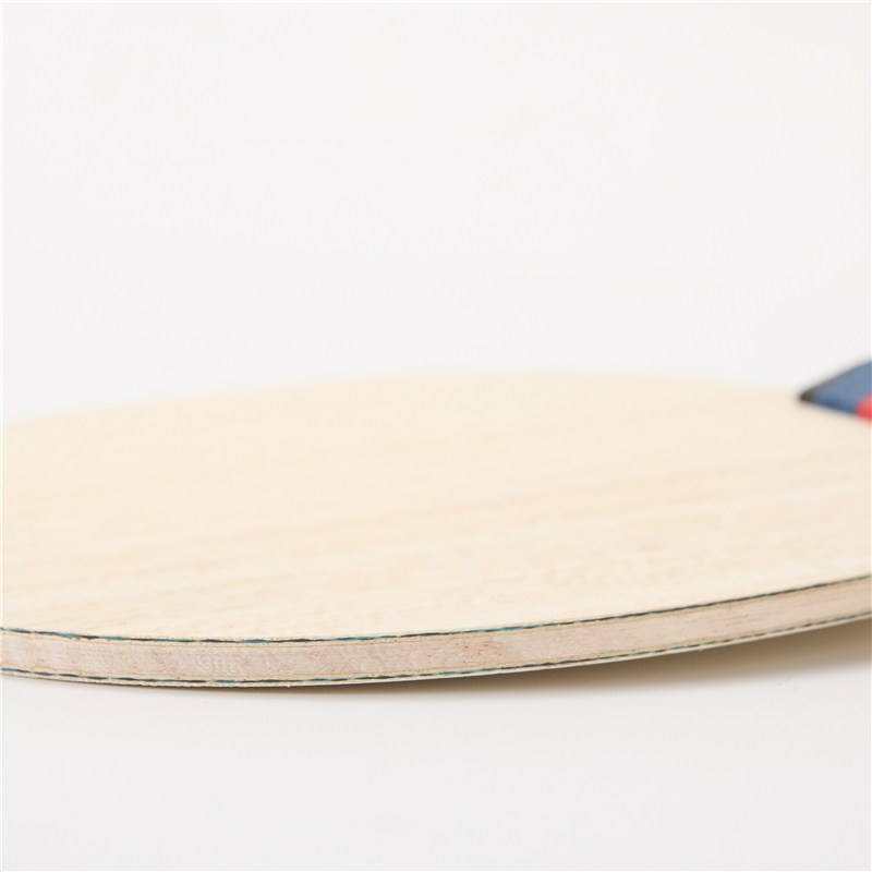 Stuor-Raquette de tennis de ta - Table Tennis Logo Free avis et prix