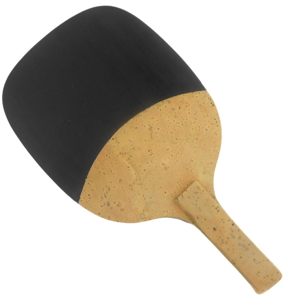 PALIO 8603 carbone titane lame - Table Tennis Padel avis et prix