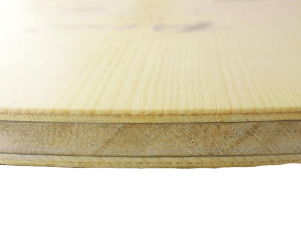 PALIO 8603 carbone titane lame - Table Tennis Padel avis et prix